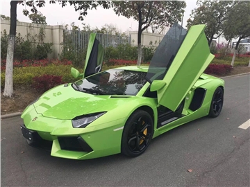 兰博基尼LP700